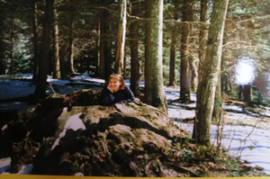 foresta del casentino