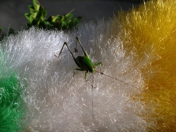 vola in giardino e trova il piumino da spolverare molto molto accogliente