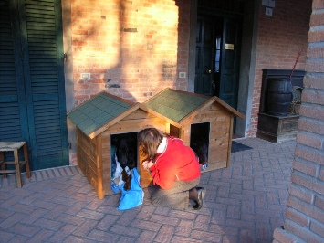 gli unici dobermann che riesco ad avvicinare!!