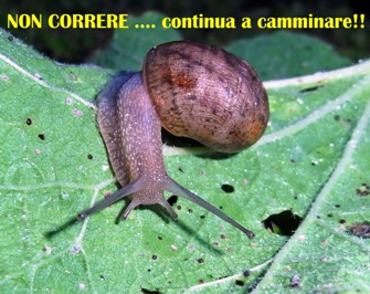 non correre continua a camminare