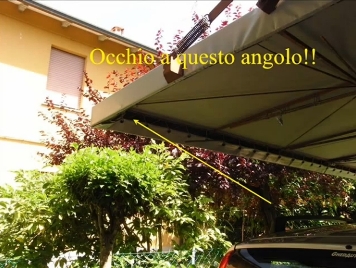 un nido di uccellini molto sicuro