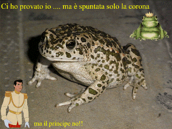 ci ho provato .... ma con scarso risultato EPPURE E' LUI CHE MI HA CERCATO ED IN CASA L'HO TROVATO