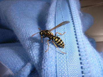 mi sa che torno qui..... finchè mi accolgono