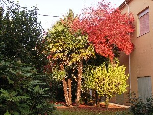 colori autunno