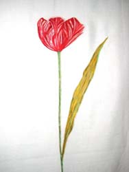 tenda dipinta a mano con unico tulipano angelapercaso