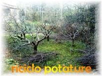 riciclo potature, come riciclare le potature, regali natale