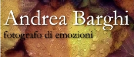 veramente fotografa emozioni e le vivi guardando le sue foto