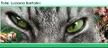 rimarrete davvero sbalorditi è un mondo pieno di meraviglie!!!